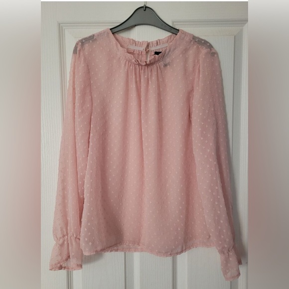 Light Pink Swiss‎ Dot Long Sleeve Blouse Top Size Large - Picture 1 of 4